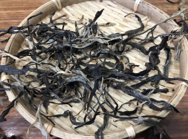 雲南的十大古樹茶,喝過5種以上是老茶客 雲南的十大古樹茶,喝過5種以上是老茶客