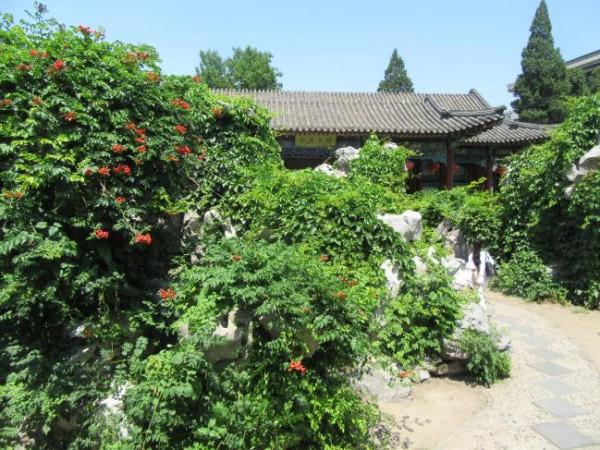 寶釵前世之迷：藤精草怪全靠石頭滋養，人沒修好就妄想做神