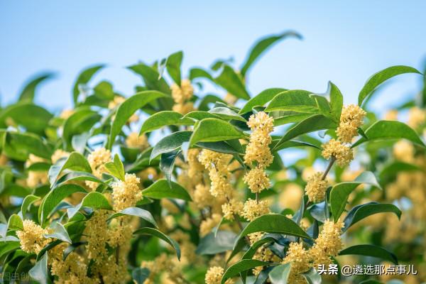 我的選調生三年鄉鎮見聞——初識鄉鎮 我的選調生三年鄉鎮見聞——初識鄉鎮
