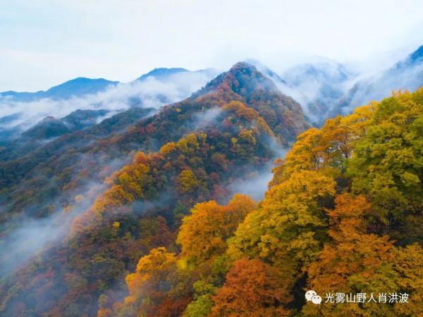 四川第三期紅葉觀賞指數釋出!不出家門,帶你雲遊這些動人風景 四川第三期紅葉觀賞指數釋出!不出家門,帶你雲遊這些動人風景