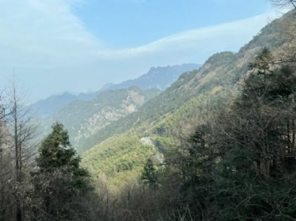 2022年的第一天，我們把長三角41座城市的太陽看了個遍