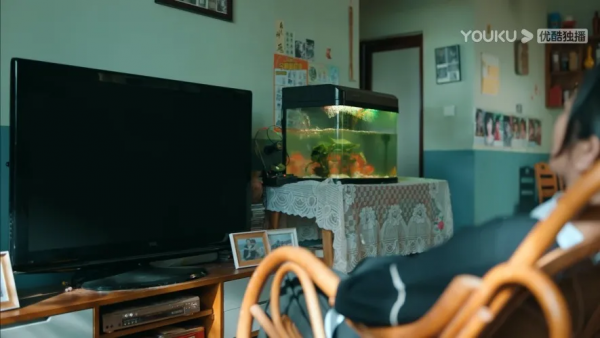 楊紫井柏然新家曝光！在陽光房裡聊工作，在沙發上談戀愛，太甜了