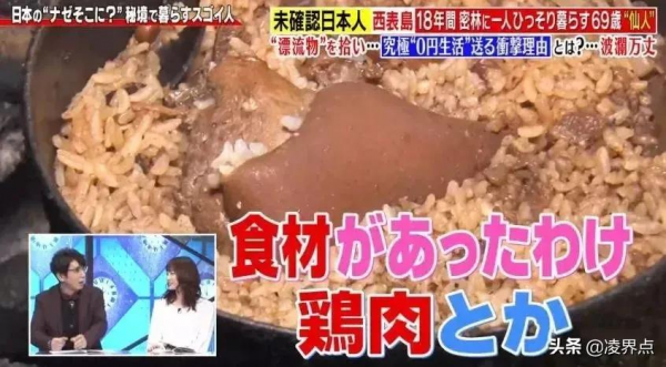 這個日本老大爺好流弊~~不花一分錢，荒島獨居爽玩了18年