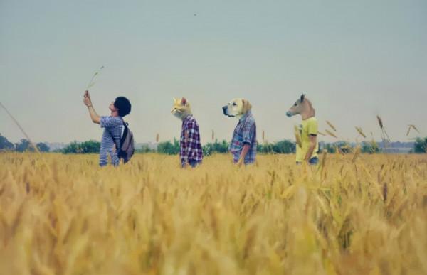 《鋼鐵是怎樣煉成的》：永不言棄，方為制勝法寶