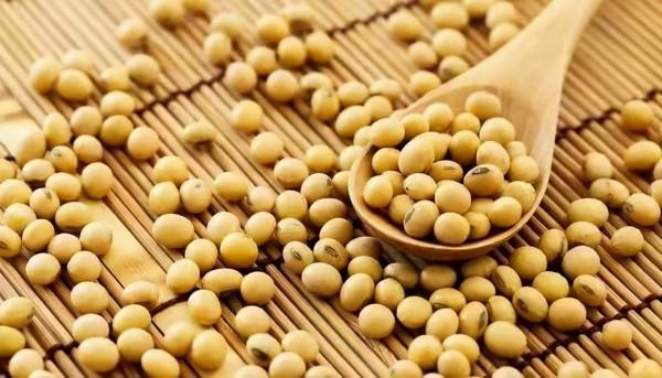 冬至養生,吃3肉、食3蔬,健康就靠這三樣 冬至養生,吃3肉、食3蔬,健康就靠這三樣