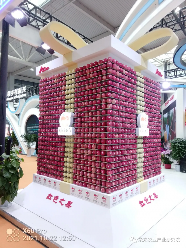 農高會系列報道四 農業也時尚 農高會系列報道四 農業也時尚