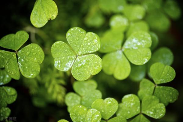 一歲有一歲的味道，一站有一站的風景：正確對待各種不如意