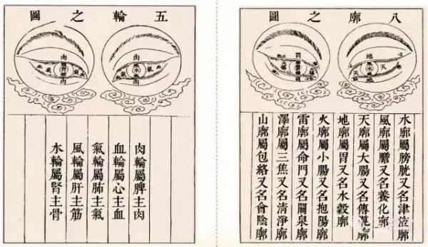 面診、眼診、鼻診、耳診、唇診、舌診、齒診圖...都收集齊了! 面診、眼診、鼻診、耳診、唇診、舌診、齒診圖...都收集齊了!
