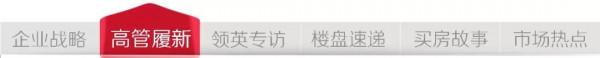 「官宣」冷俊峰升任大發地產執行董事兼執行長，廖魯江辭任
