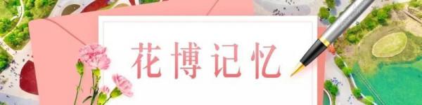 花博記憶丨這是開在記憶深處的一朵花 花博記憶丨這是開在記憶深處的一朵花