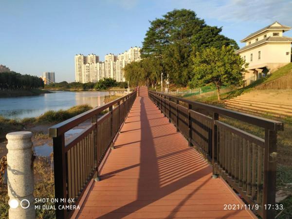 將陽光引進屋裡 將陽光引進屋裡