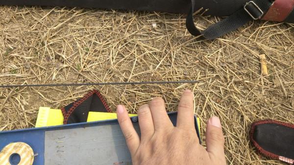 節後首釣喜獲大板鯽，高興之餘有點遺憾