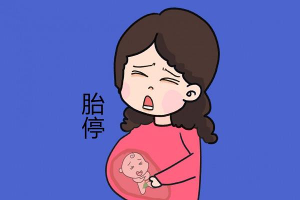 懷孕28周胎停，原因是飲食問題，孕期一定要繞開3個飲食錯誤