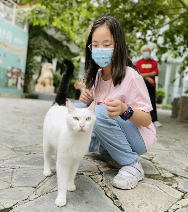 岳家槍和楊家槍能區分了嗎？