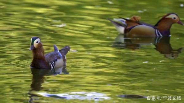 江北~隱藏著你嚮往的詩和遠方... 江北~隱藏著你嚮往的詩和遠方...