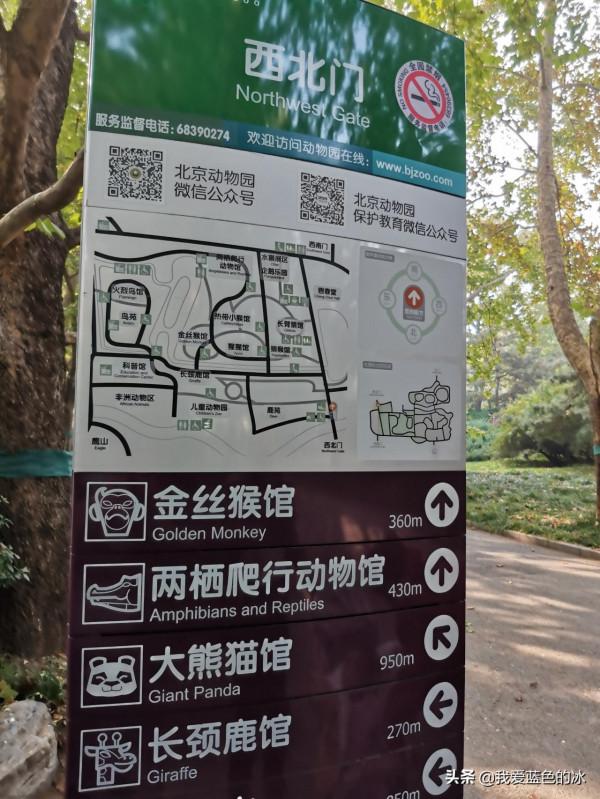 重遊北京動物園，覺得綠化美化比以前好了很多