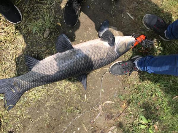 到底白天大魚好釣還是晚上大魚好釣？用實踐和科學證明