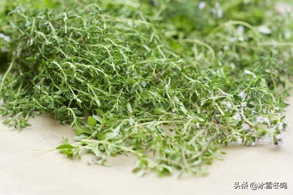 潮汕香料的傳承和創新，師傅們的努力讓中餐認識了百里香的味道