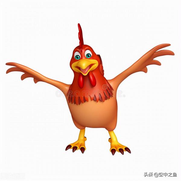 生肖雞2021年運勢 生肖雞2021年運勢