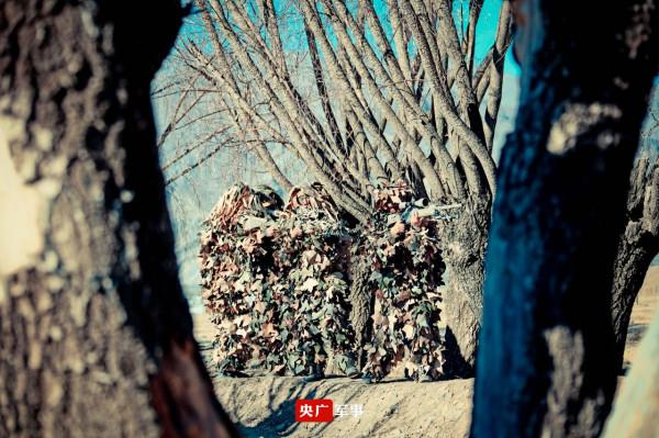 「強軍映像」海拔3600米，硬核偵察兵來了