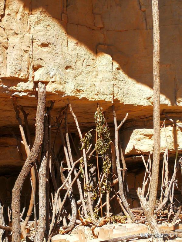 遊客喜歡在石縫裡支根木棍，用意何在，你知道嗎