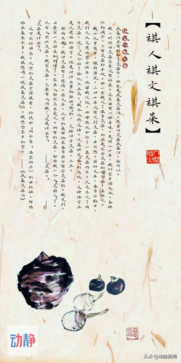 逛吃貴州丨茨菇有“格”，不僅因其味美而香，更源於曾救饑民於荒年之“慈”