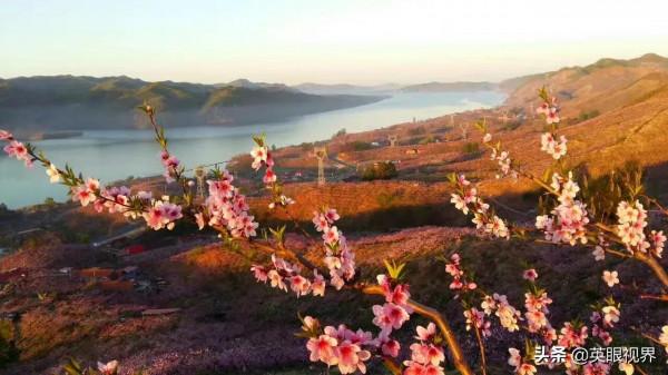 在那桃花盛開的地方 在那桃花盛開的地方