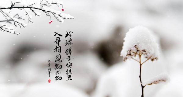 趁冬至養腎護陽，學會3 招就能提升免疫、預防生病