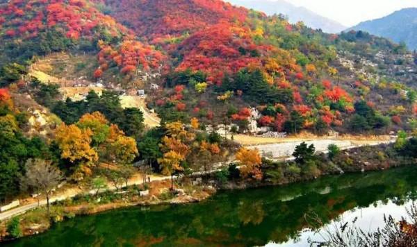 賞秋時節 | 打卡京郊這10條鄉村公路，藏著北京最美的秋天