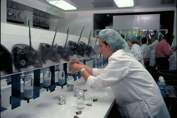 一升鱟血十萬元！新冠疫苗上市離不了它，為何鱟卻被越吃越少？