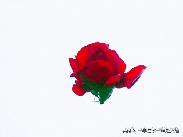 散文詩：致，冬天