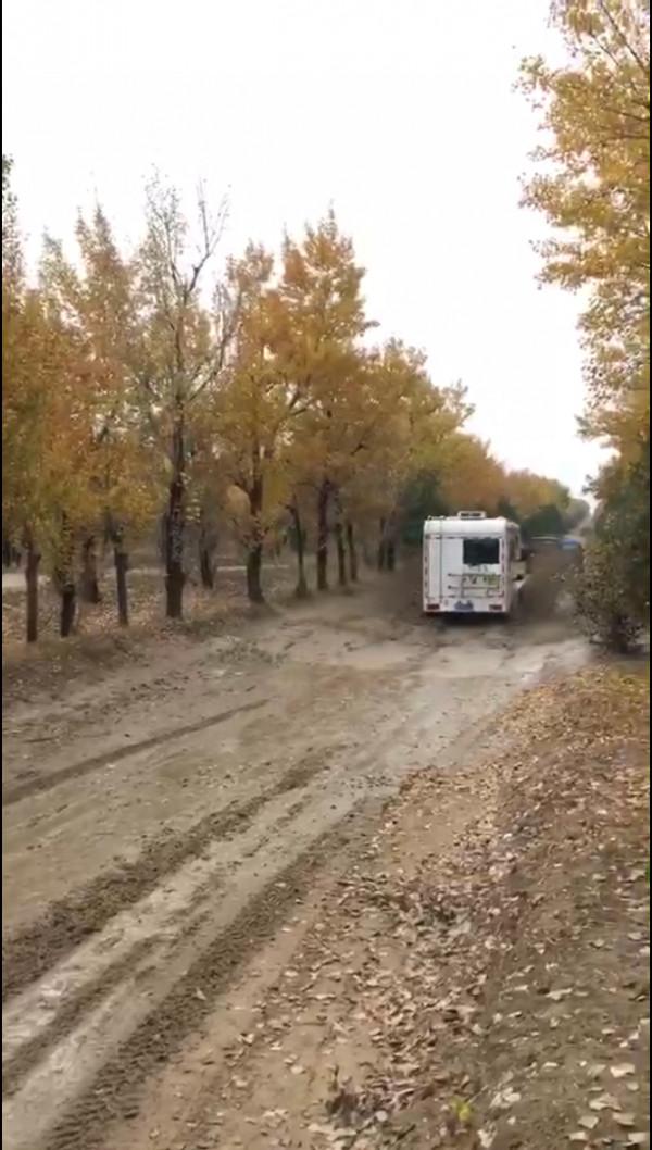 說走就走的金秋越野之旅