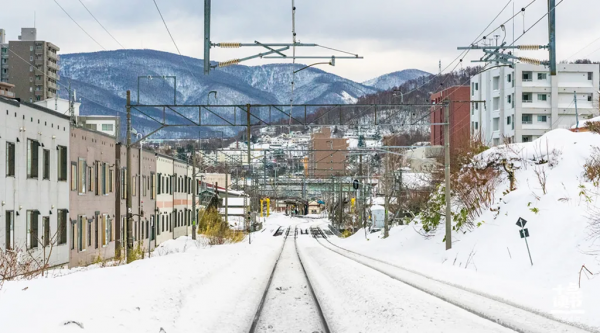 《你當像鳥飛往你的山》:內心強大,是治癒一切的良藥 《你當像鳥飛往你的山》:內心強大,是治癒一切的良藥