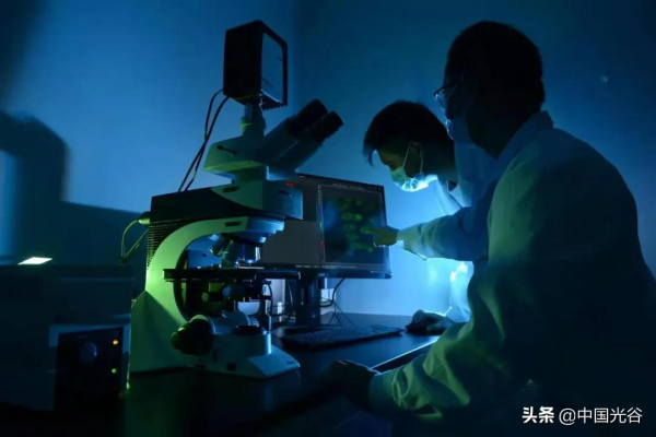 光谷企業生產2萬種抗體，幫助全球科學家發表6萬篇論文，“我們的廣告寫在論文裡！”