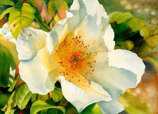 55歲拿起畫筆,成為最懂花的女人!筆下絢爛唯美的水彩花卉太美了 55歲拿起畫筆,成為最懂花的女人!筆下絢爛唯美的水彩花卉太美了