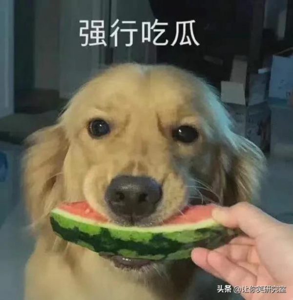 和男明星離婚後才分到5000w？薇婭：半小時就賺回來了