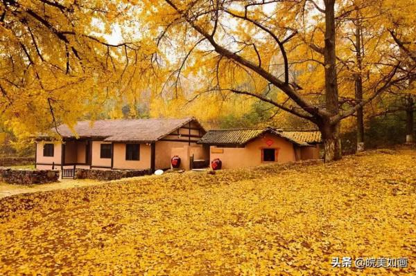 安徽秋遊,五個自駕推薦地|去趕赴秋天的盛會 安徽秋遊,五個自駕推薦地|去趕赴秋天的盛會