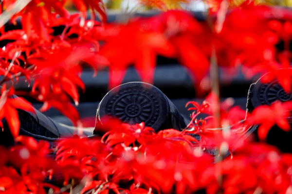 太美了!10個愈秋愈美的小眾旅行地,錯過只能再等一年 太美了!10個愈秋愈美的小眾旅行地,錯過只能再等一年