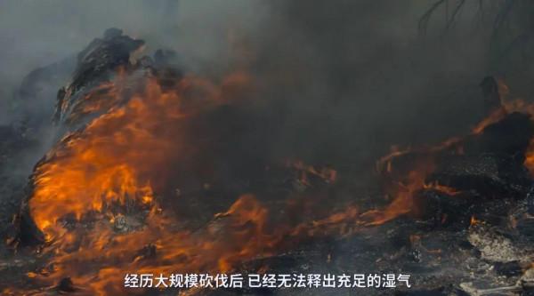 電影成真?再這麼下去,人類被自然災難吞噬就要成為現實 電影成真?再這麼下去,人類被自然災難吞噬就要成為現實