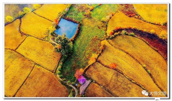 看,這就是大悟的秋 看,這就是大悟的秋