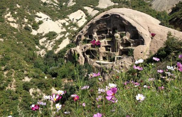 冰涼清爽過伏天，北京號帶您探索消夏避暑好去處