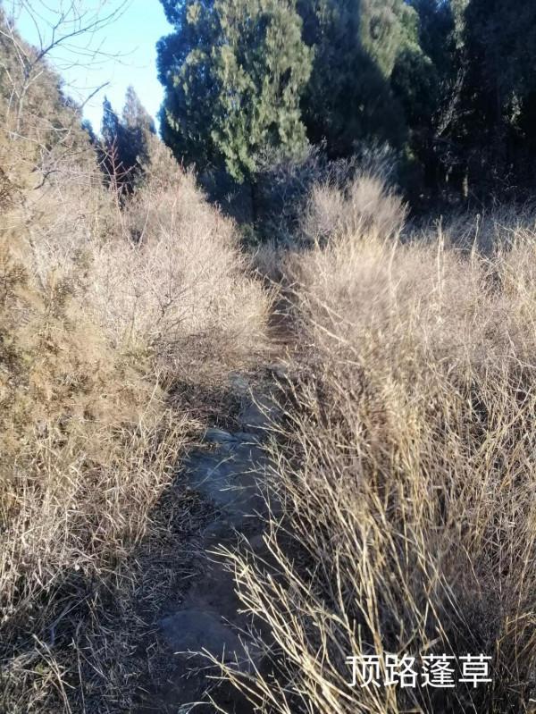 &dollar;&period;006&period;頂遊五峰山