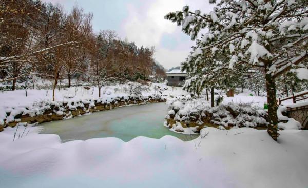 錯峰出遊，盡賞金絲峽冰雕玉琢雪景世界