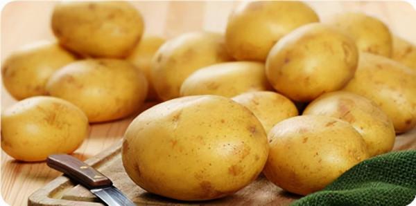 怎樣挑選既新鮮又放心的蔬菜？幾個妙招送你…