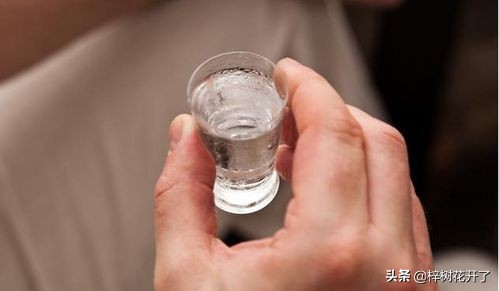 酒桌上別人說“我幹了，您隨意”，怎麼回覆才算高明？