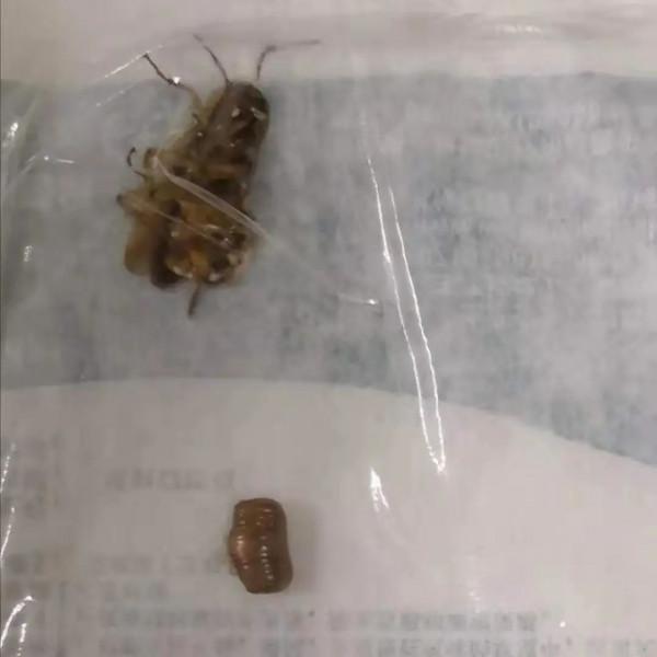 耳朵進了東西怎麼辦？