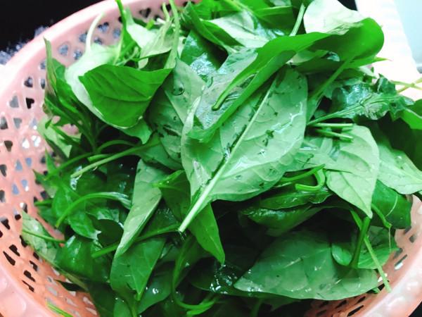 農村這7種蔬菜的葉子不要再扔了,煮來吃更美味,關鍵營養價值高 農村這7種蔬菜的葉子不要再扔了,煮來吃更美味,關鍵營養價值高