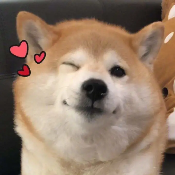 下一套房,也要給我家地板做通鋪設計!高顏值讓家居舒適度更長久 下一套房,也要給我家地板做通鋪設計!高顏值讓家居舒適度更長久