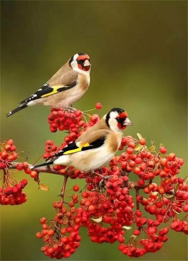 七絕《初冬五首》