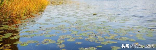 野釣總是空軍、春天釣鯽魚應該這樣選釣位